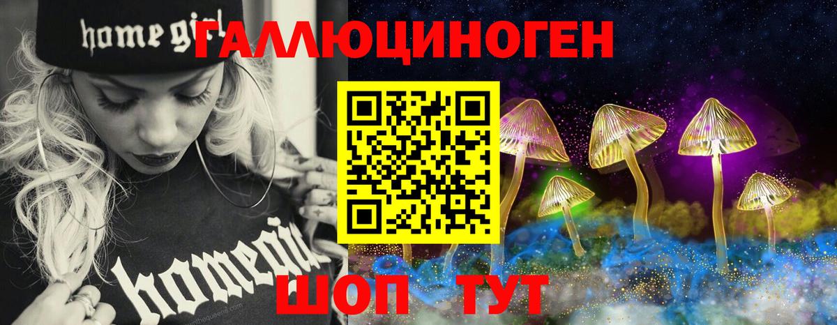 Галлюциногенные грибы Psilocybine cubensis Златоуст